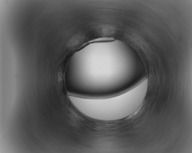 X0000088390184200705220808