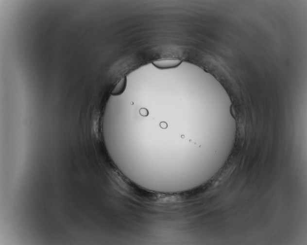 X0000088390185200705220808