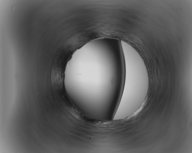 X0000088390186200705220808