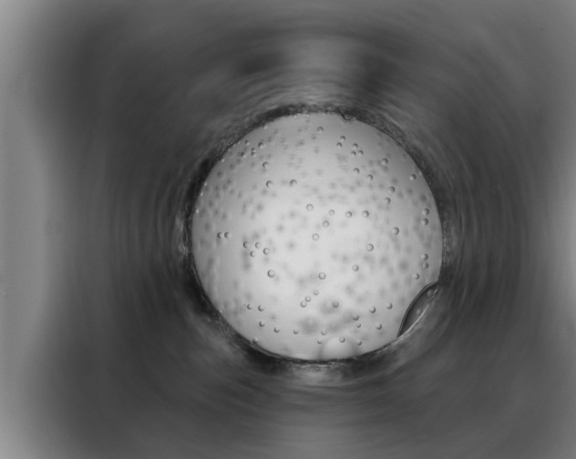 X0000088390187200705220808