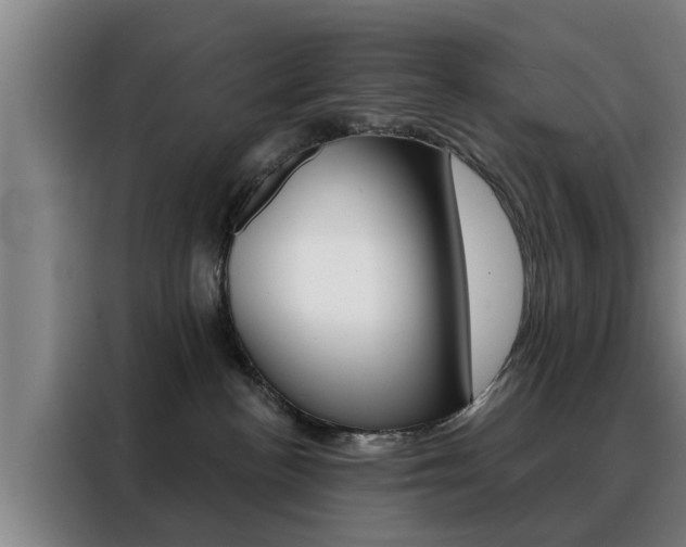 X0000088390188200705220808