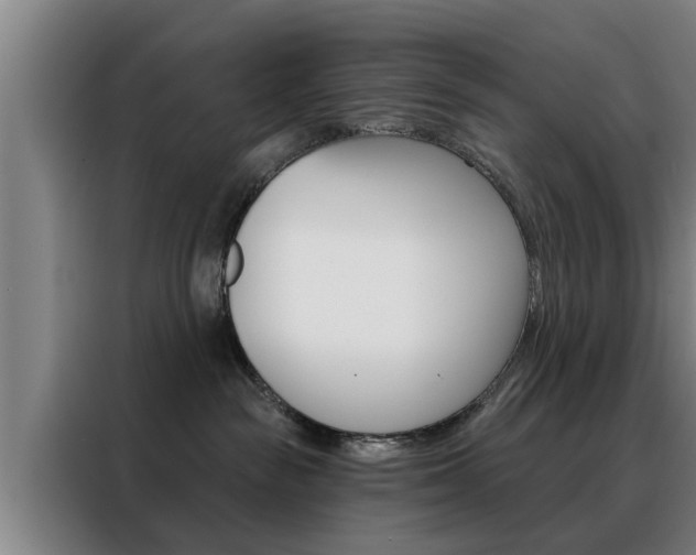 X0000088390189200705220808