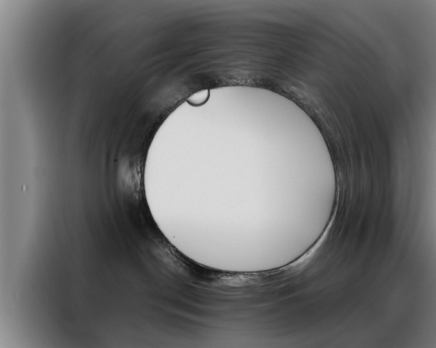 X0000088390190200705220808