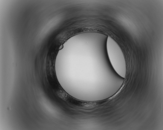 X0000088390191200705220808