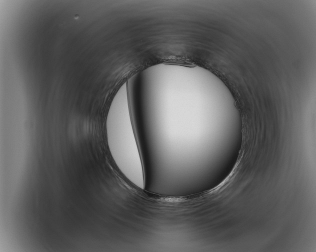 X0000088390192200705220808