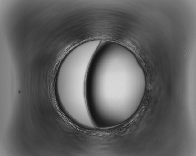 X0000088390193200705220808