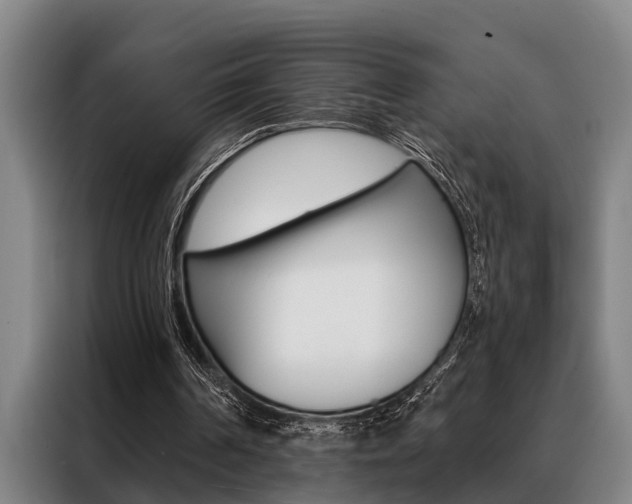 X0000088390194200705220808