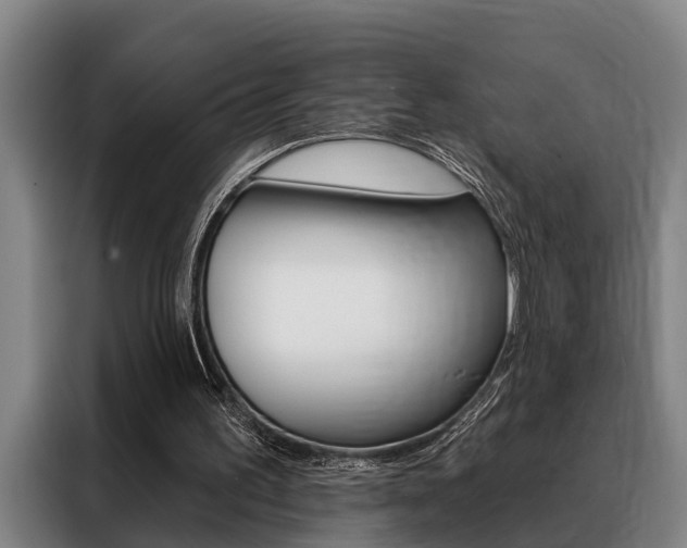 X0000088390195200705220808