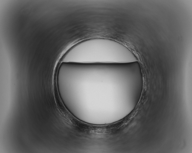 X0000088390196200705220808