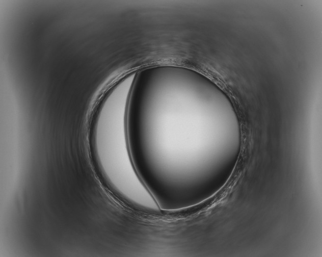 X0000088390197200705220808