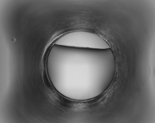 X0000088390198200705220808