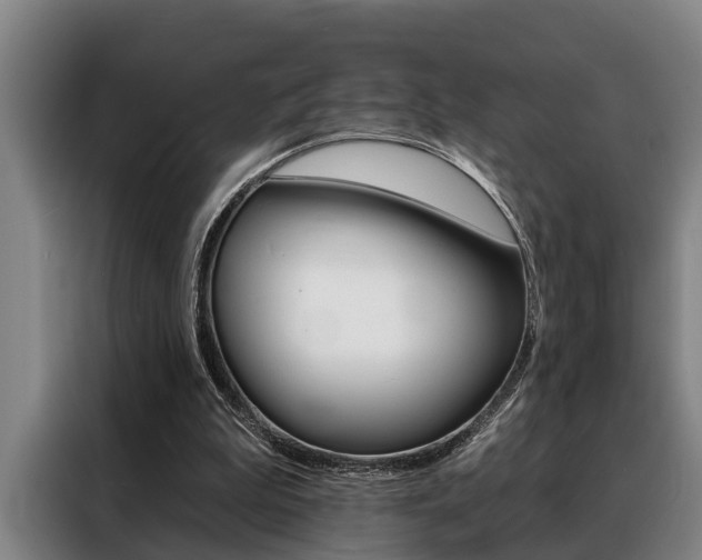 X0000088390199200705220808