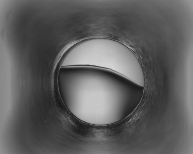 X0000088390200200705220808