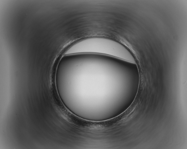 X0000088390203200705220808