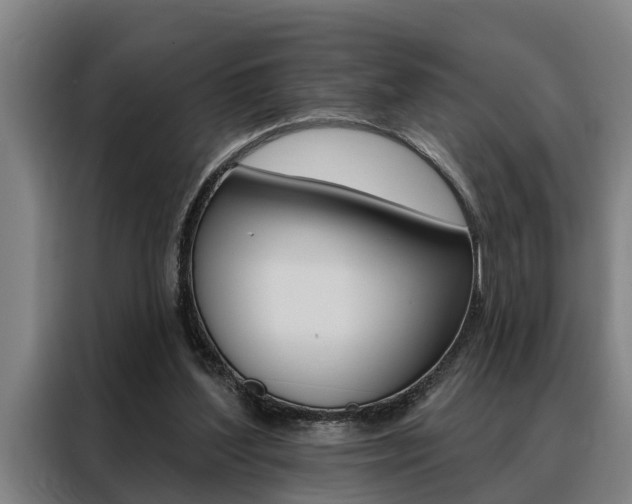 X0000088390204200705220808