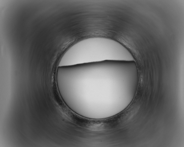 X0000088390206200705220807