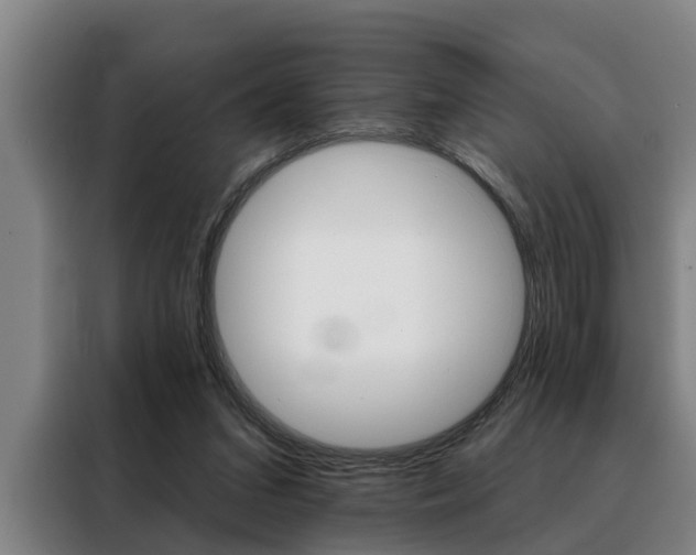 X0000088390207200705220807