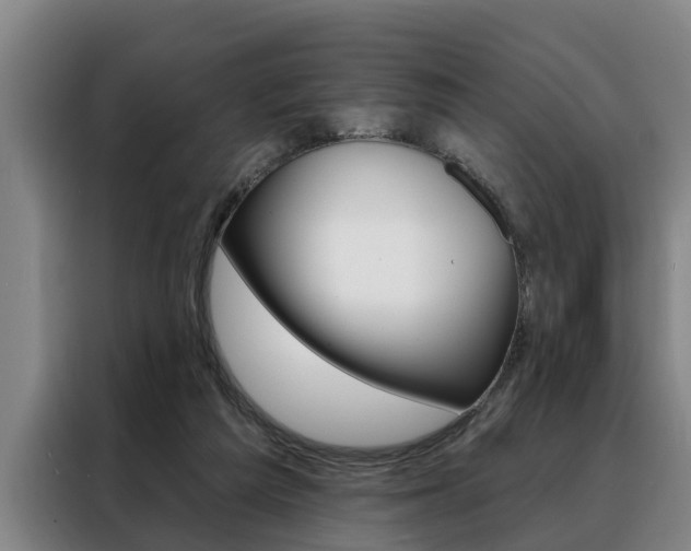 X0000088390209200705220807