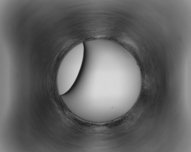 X0000088390210200705220807