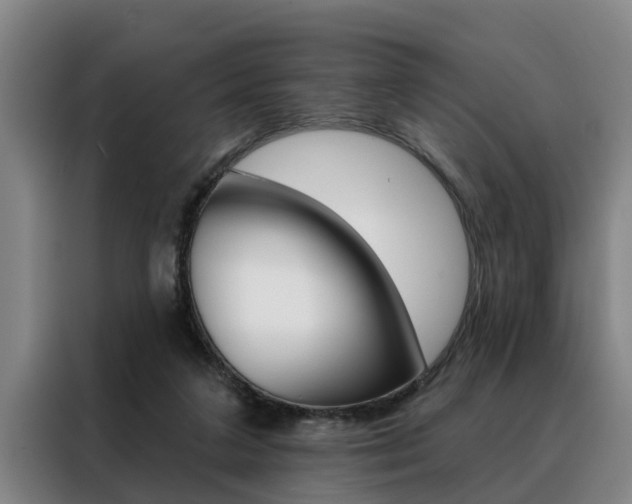 X0000088390211200705220807