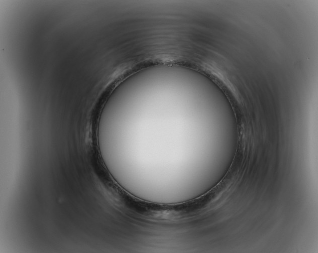 X0000088390212200705220807