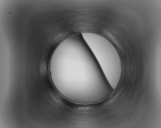 X0000088390213200705220807