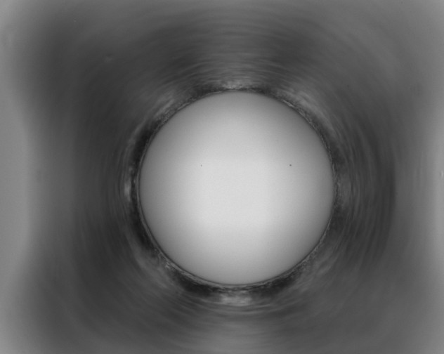 X0000088390214200705220807