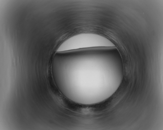 X0000088390216200705220807