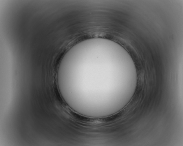 X0000088390218200705220807