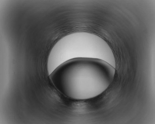 X0000088390219200705220807