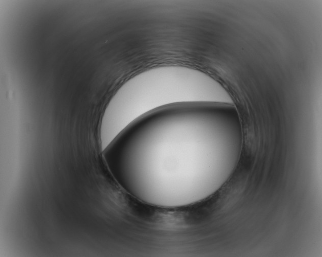 X0000088390221200705220807