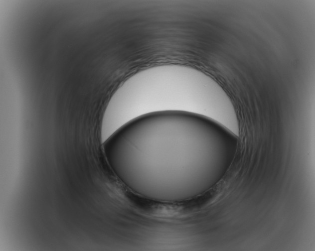 X0000088390223200705220807