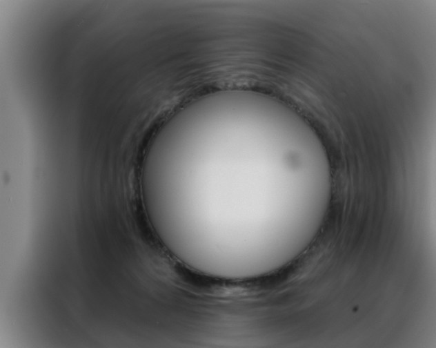 X0000088390224200705220807