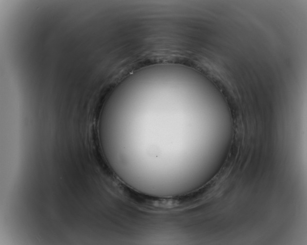 X0000088390225200705220807