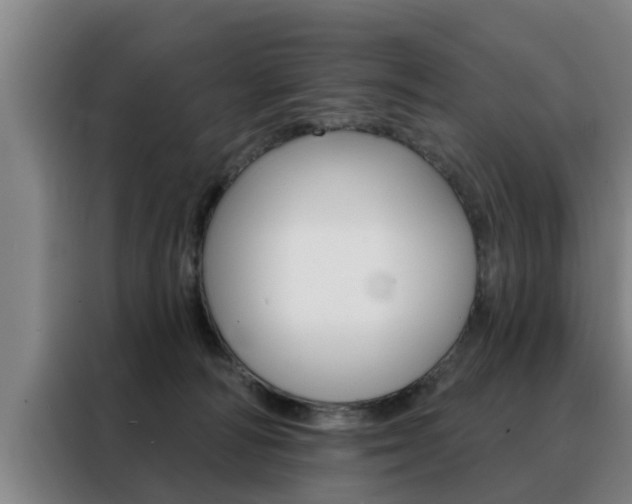 X0000088390226200705220807