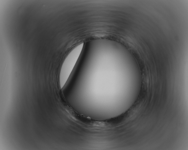 X0000088390227200705220807