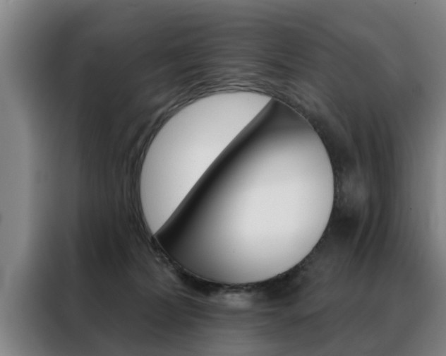 X0000088390228200705220807