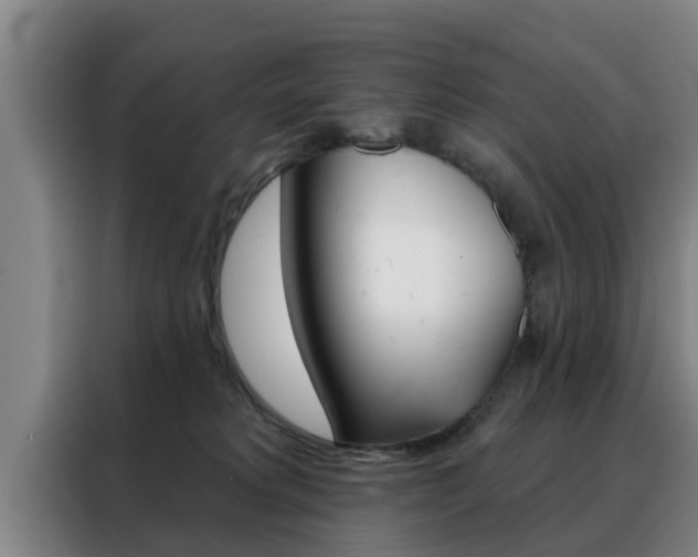 X0000088390229200705220807