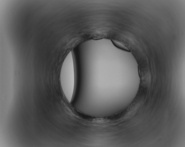 X0000088390231200705220807