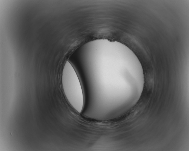 X0000088390232200705220807