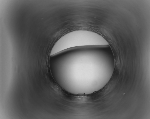 X0000088390233200705220807