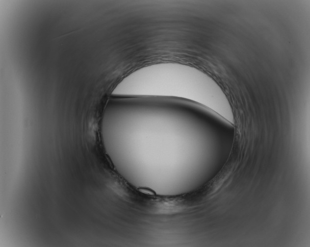 X0000088390235200705220807