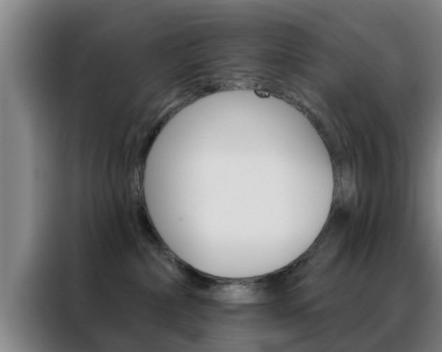 X0000088390236200705220807