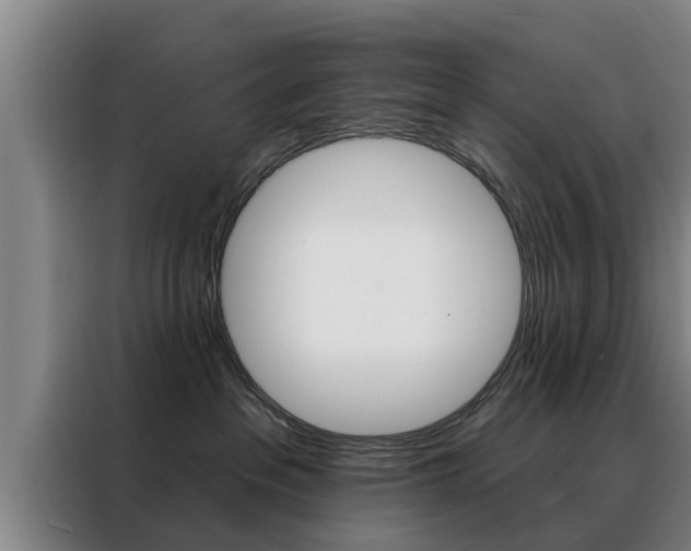 X0000088390237200705220807