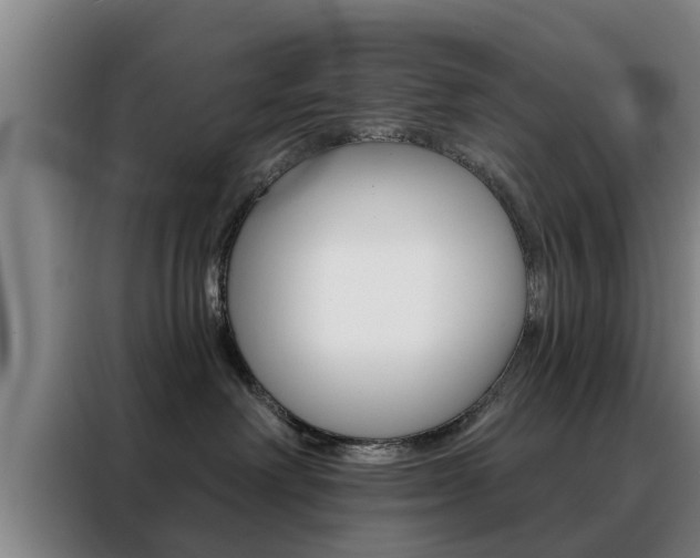 X0000088390238200705220807