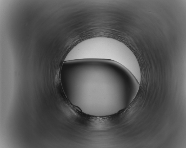 X0000088390239200705220807