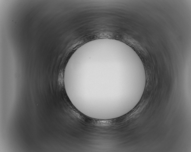 X0000088390240200705220807