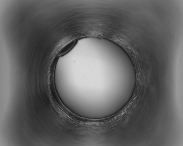 X0000088390242200705220806