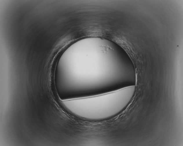 X0000088390243200705220806