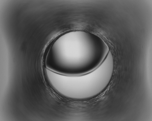 X0000088390244200705220806